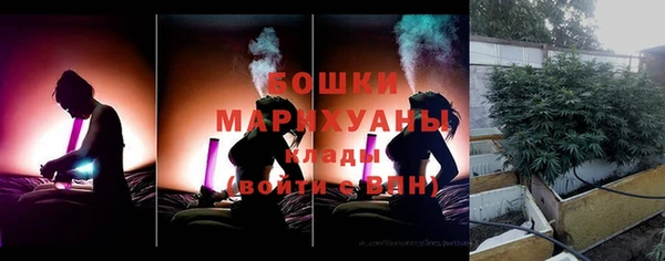 гидра Корсаков