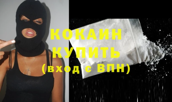 гидра Корсаков