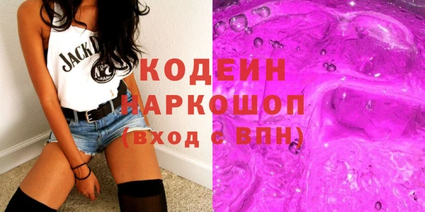 гидра Корсаков