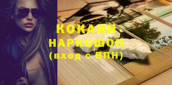 гидра Корсаков