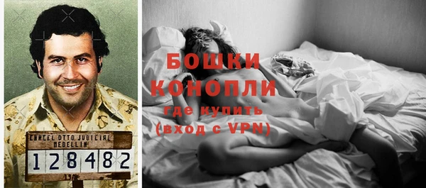 гидра Корсаков