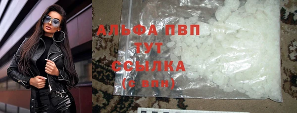 гидра Корсаков