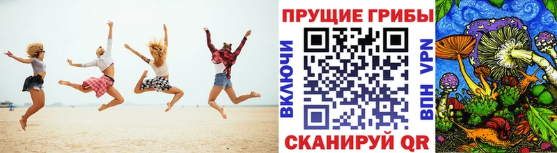 Купить где  Ряжск  Псилоцибиновые грибы прущие грибы 